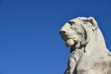 Fototapeta na wymiar Majestic Lion (with copy space). Marble statue of a lion from Vittoriano monument, a huge building in the center of Rome designed by architect Giuseppe Sacconi in 1883