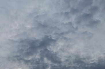 Fototapeta premium Black cloud before rain in the evening textured background