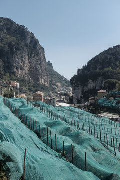Italy, Campania, Amalfi, Valle delle Ferriere, lemon plantation covered with nets