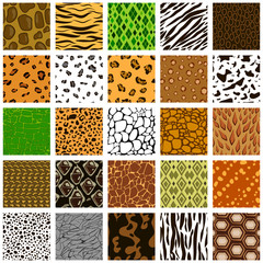 Seamless pattern of different animal skin