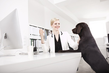 Business woman with her Labrador Retriever in the office