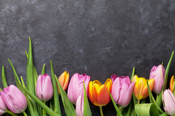 Fresh colorful tulip flowers