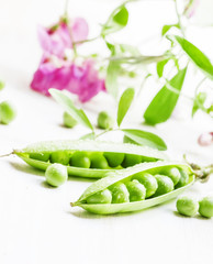 Green peas, twine vines and flowers on white wooden background,