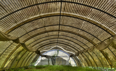 Abandoned Greenhouses