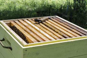 Bee hive and bee frame with bees inside 