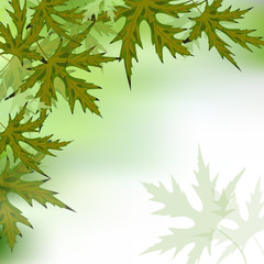 Nature background with green leaves .