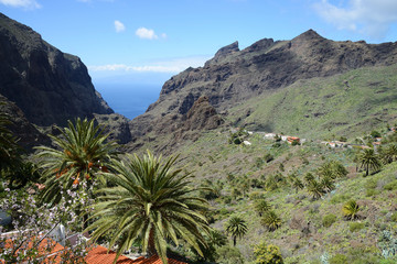 Fototapeta na wymiar Masca, Tenerife, Canary Islands, Spain