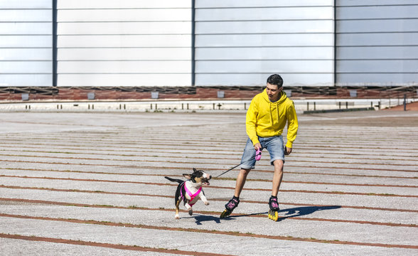 Inline-skater playing with his bull terrier