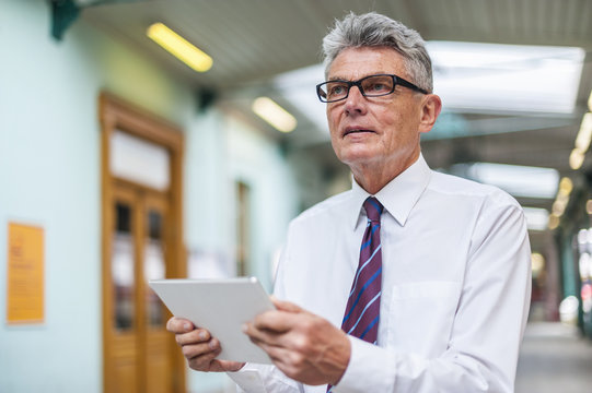 Senior businessman holding digital tablet