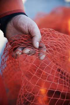 Hand holding fishing net