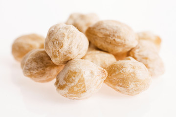Candlenut or Kukui is a spice especially used in indonesian cook