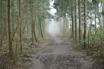 Fototapeten schlammiger Fußweg durch einen nebligen Wald © henkbouwers