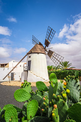 Plakat Windmill in Antigua at Fuerteventura, Canary Islands