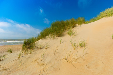 Dunes at Belgian north sea coast against cirrus and stratus clouds and reed grass, near De Haan, Belgium