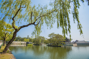 Obraz premium SEOUL,South Korea - MAY 22: Gyeongbokgung Palace. MAY 22, 2016 i