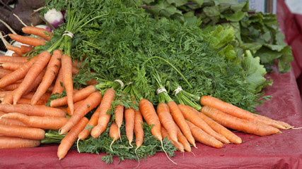 Whole natural carrots at local farmers market northern california Bay Area
