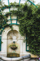 Fototapeta na wymiar ancient fountain in the wall with ivy