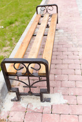 bench on the pavement in the park