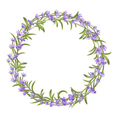 Lavender wreath. Vector illustration for decorations
