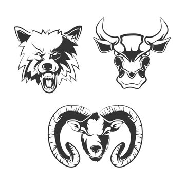 Vector elements for sport team labels with wolf, bulls and ram