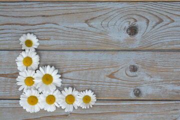 Empty copy space Background of blue painted wood with framework border line of field flowers, daisies
