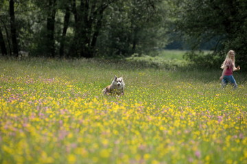 Zwei Richtungen, junge Frau und Hund laufen durch Blumenwiese in verschiedene Richtungen
