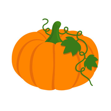 Flat icon pumpkin with leaves. With shadow. Vector illustration.