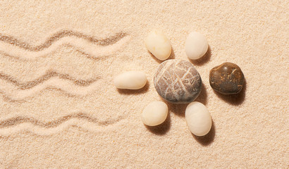 Fototapeta na wymiar Turtle of sea stones with marks of tail and legs on sand