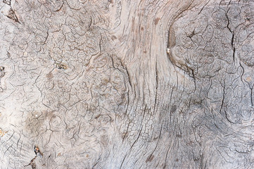 old wood texture background 