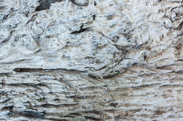 old wood texture background 