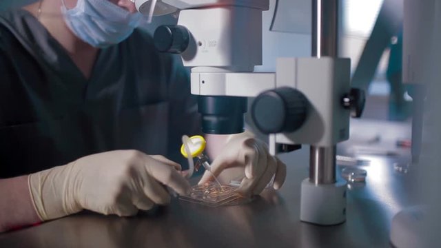 Storing frozen eggs sperm in box liquid nitrogen