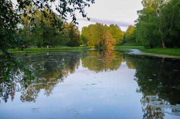 A quiet pond fabulous nature. Mirror of standing water in the forest pond. Idyllic landscape with a lake and orogenies in it.