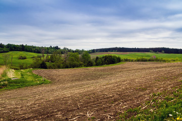 Fototapeta na wymiar agriculture field at spring