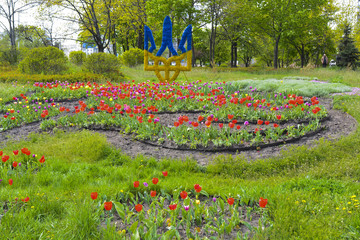 весенние цветы тюльпаны расцвели в городском парке