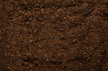 Soil texture background seen from above, top view.