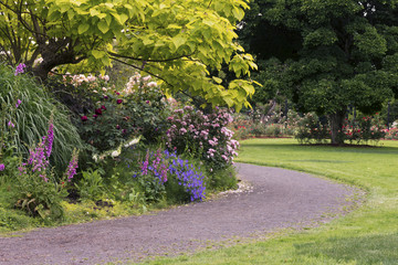Rose Garden Path