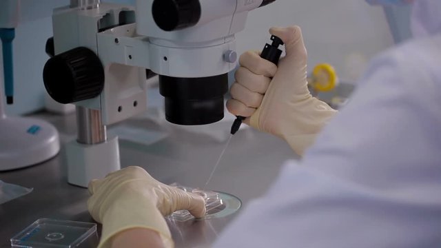 Doctor using microscope to fertilise human egg