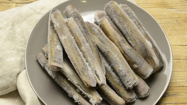 Solen marginatus Lingueir&atilde;o Grooved Razor Shell Cannolicchio Longueir&oacute;n vello Datil ildodun אבובית ישרה Messchede Cappalunga Couteau-gaine Peixe Navalha Musselart  Muergo Couteau-silique Canello Canol