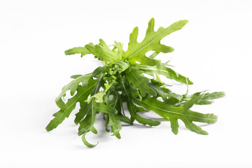 Fresh arugula leaves on white background