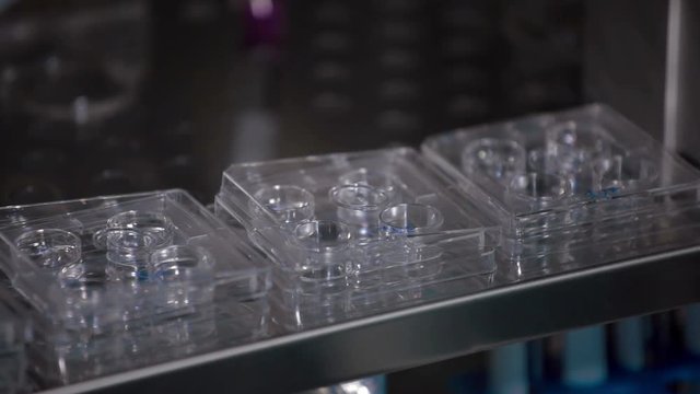 Storing frozen eggs box in medical refrigerator