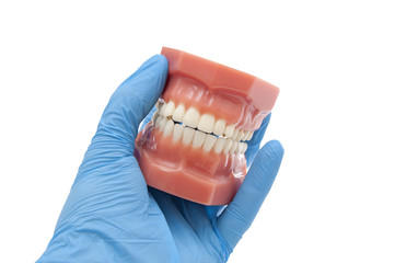 dentist hand show mouth smiling isolated on white