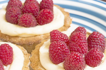 Raspberry tatrs