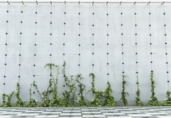 Fototapeta premium Aluminium frame for clambering