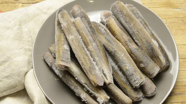 Solen marginatus Lingueir&atilde;o Grooved Razor Shell Cannolicchio Longueir&oacute;n vello Datil ildodun אבובית ישרה Messchede Cappalunga Couteau-gaine Peixe Navalha Musselart Muergo Couteau-silique Canello Canol