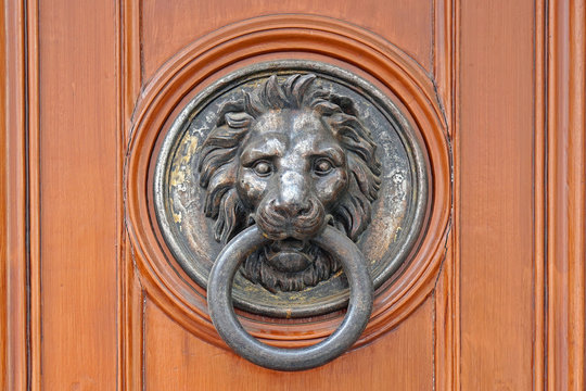 Door knocker lion