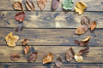 Dry autumn leaves make frame on wooden background