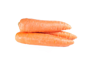 Carrot on the white background