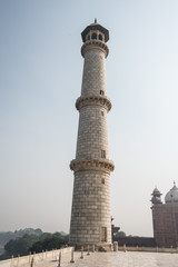 Mughal Artwork in Taj Mahal