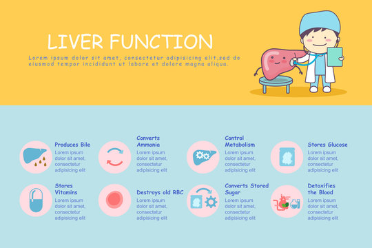 infographic of liver