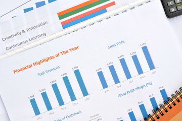 Business documents at workplace,financial chart and graph.